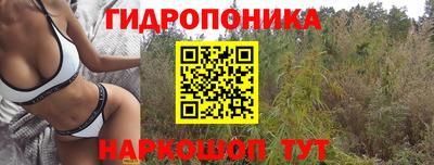 бошки Краснокаменск