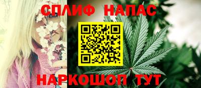 крисы Кунгур