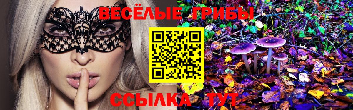 Псилоцибиновые грибы прущие грибы Шадринск